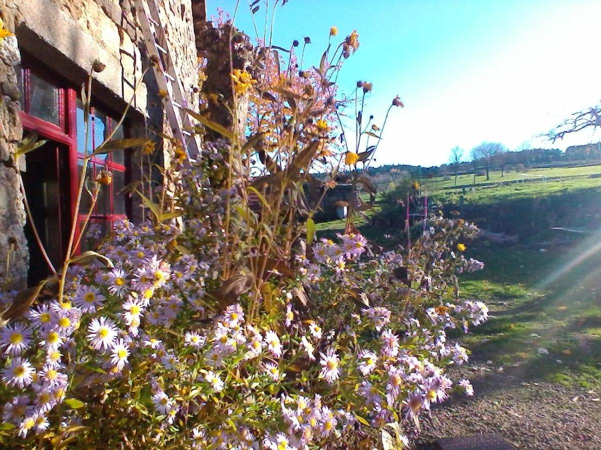 Le Marconnes Bed & Breakfast Saint-Arcons-de-Barges Exterior foto