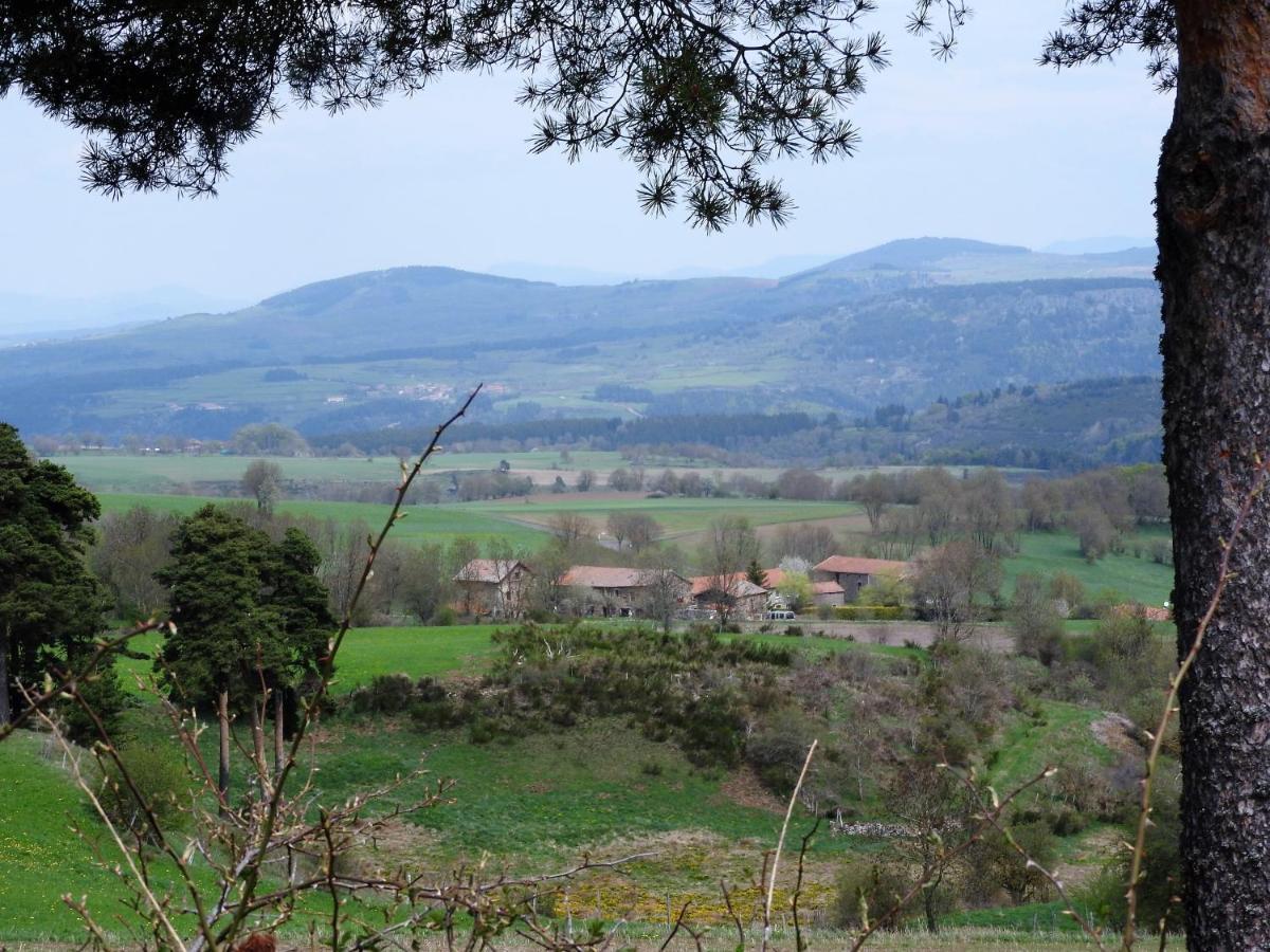 Le Marconnes Bed & Breakfast Saint-Arcons-de-Barges Exterior foto